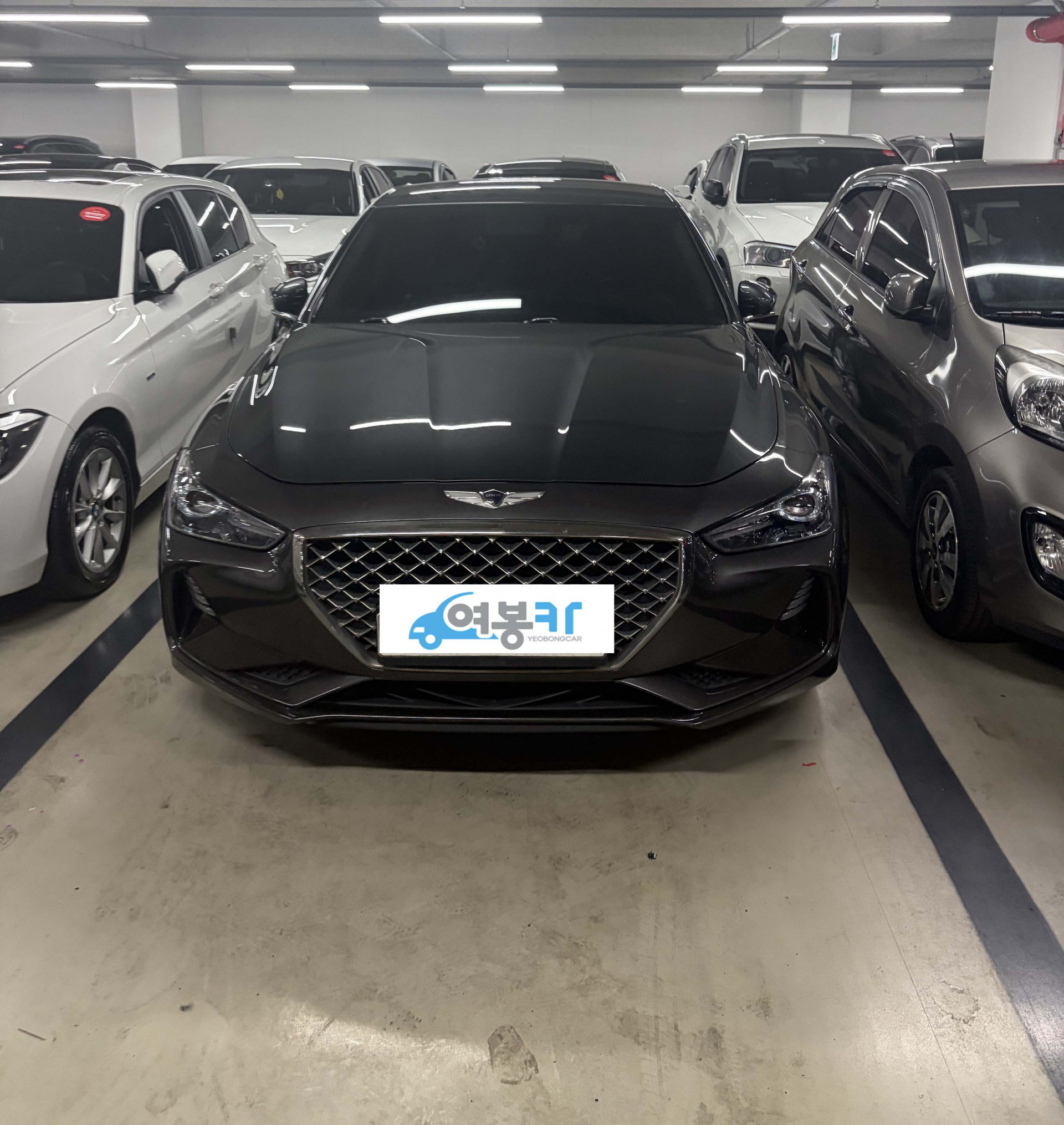 5kzrdgb5tujq985305.jpg
